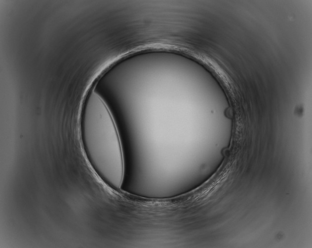 X0000100920902200806241110