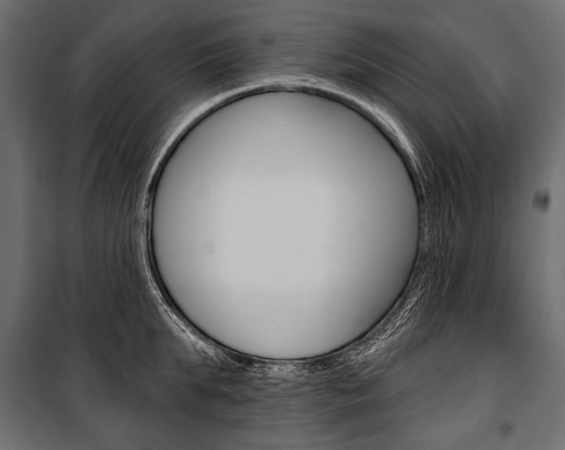 X0000100920903200806241110
