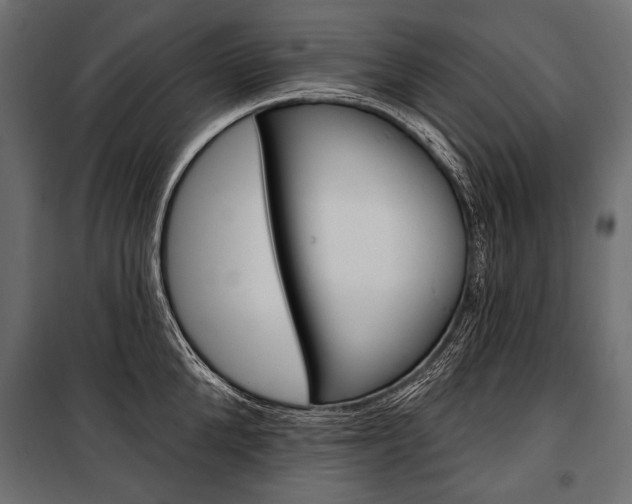 X0000100920904200806241110