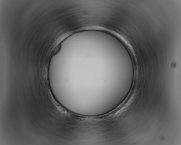 X0000100920905200806241110