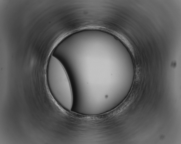 X0000100920906200806241110