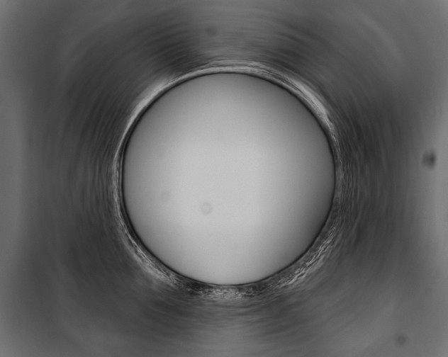 X0000100920907200806241110