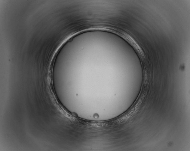 X0000100920908200806241110