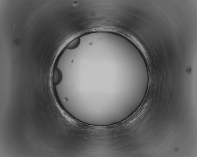X0000100920909200806241110