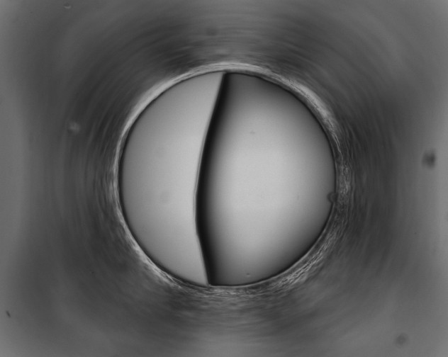 X0000100920910200806241110