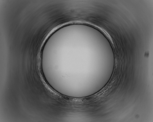 X0000100920911200806241110