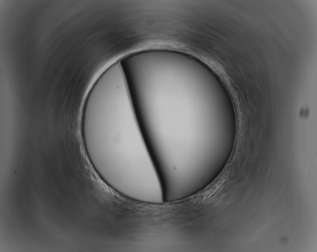 X0000100920912200806241110