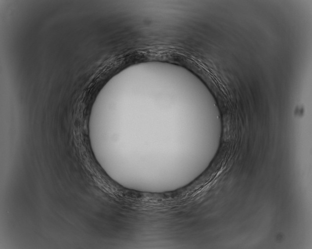 X0000100920913200806241109