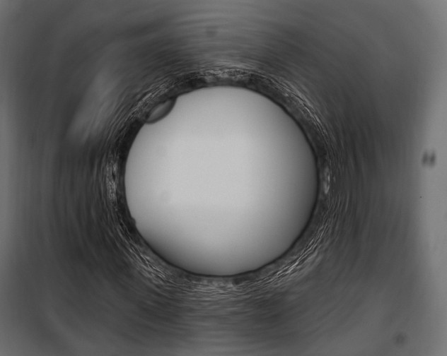 X0000100920915200806241109