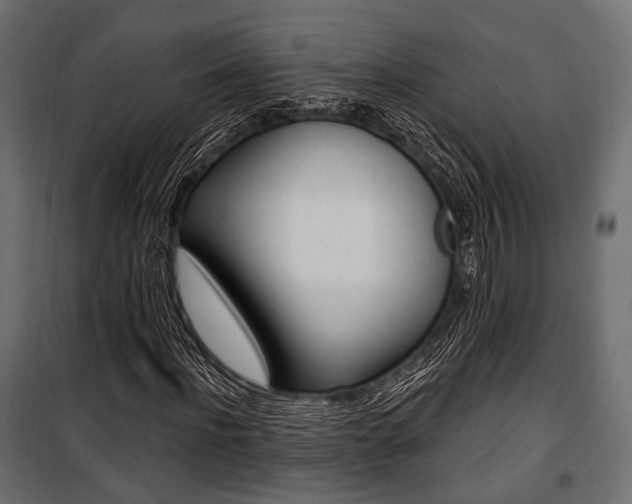 X0000100920916200806241109