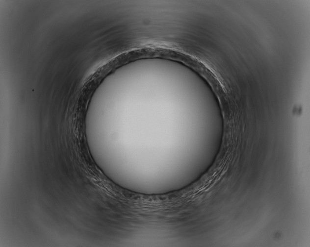 X0000100920919200806241109