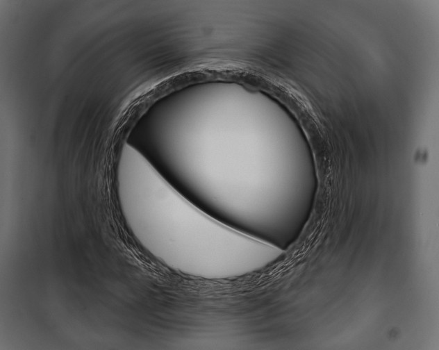 X0000100920920200806241109