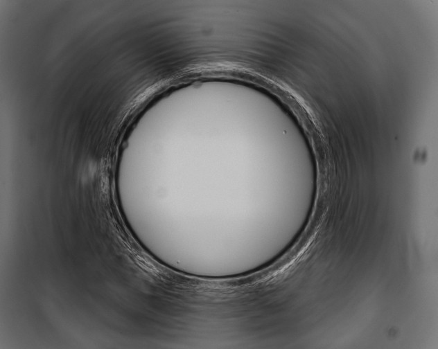 X0000100920921200806241109