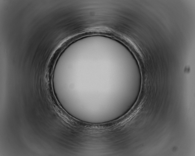 X0000100920923200806241109