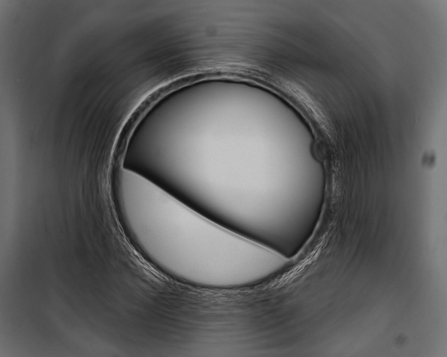 X0000100920924200806241109