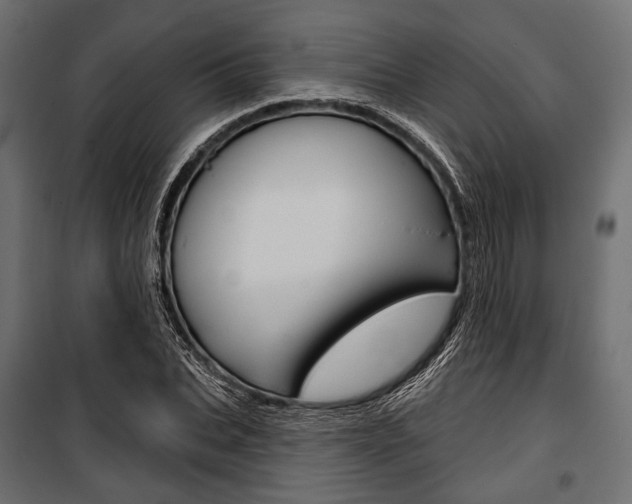 X0000100920927200806241110