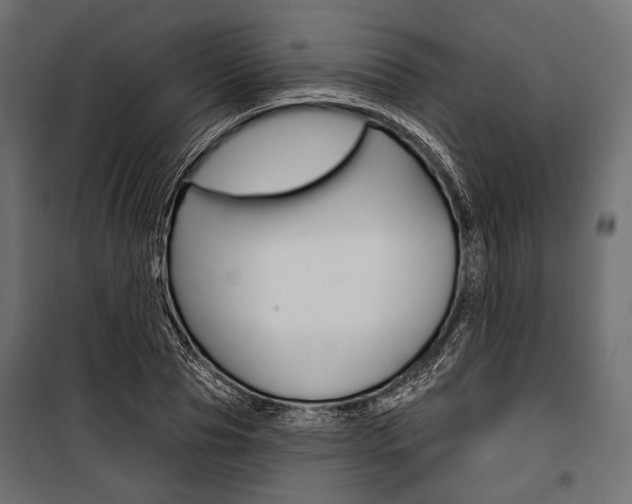 X0000100920929200806241110