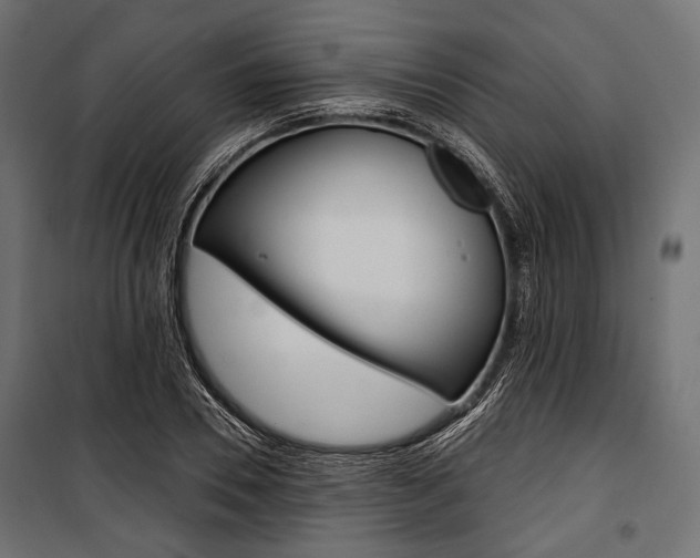 X0000100920930200806241110
