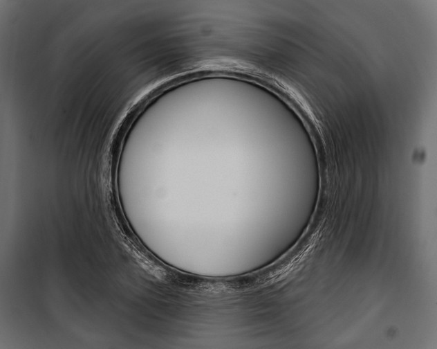 X0000100920931200806241110