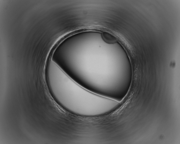 X0000100920932200806241110