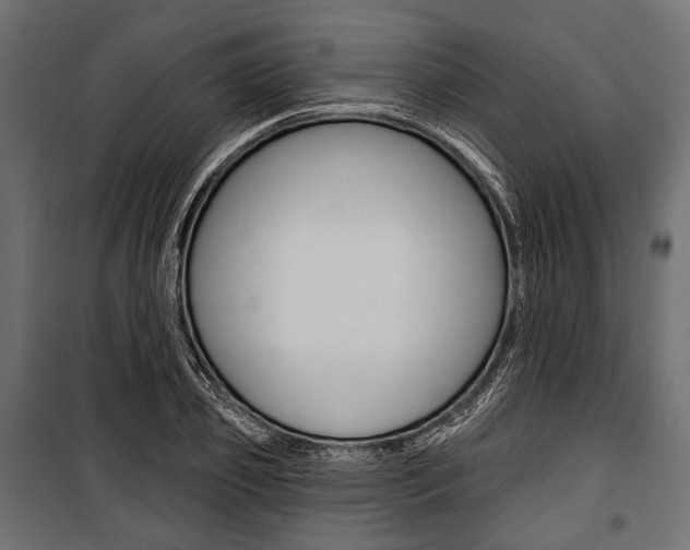 X0000100920933200806241110