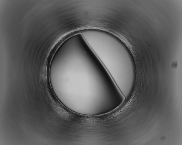 X0000100920934200806241110