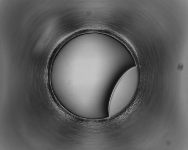 X0000100920935200806241110