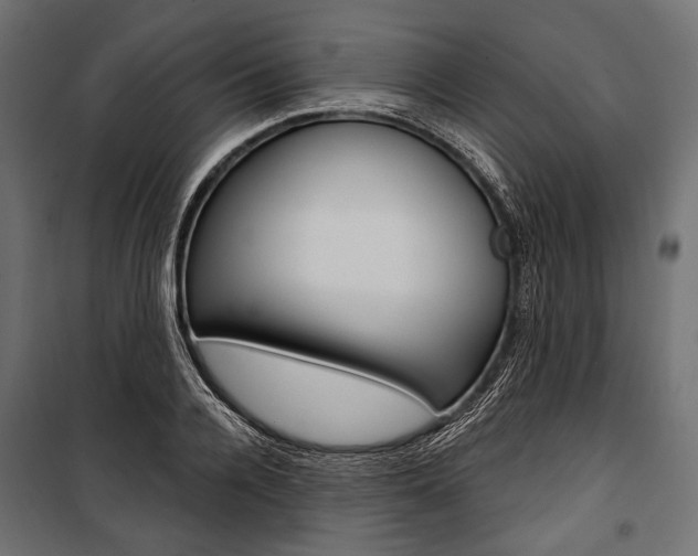 X0000100920936200806241110