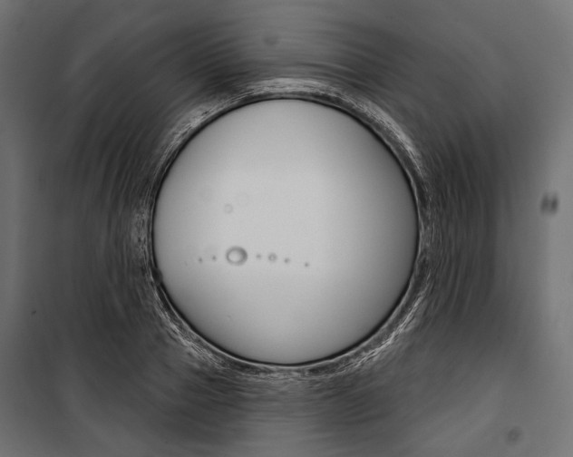 X0000100920937200806241110