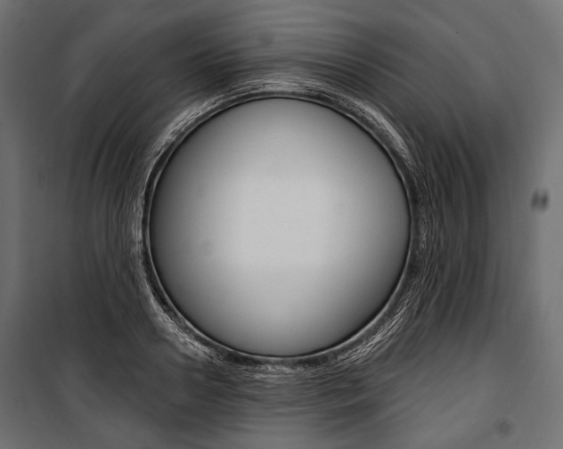 X0000100920938200806241110