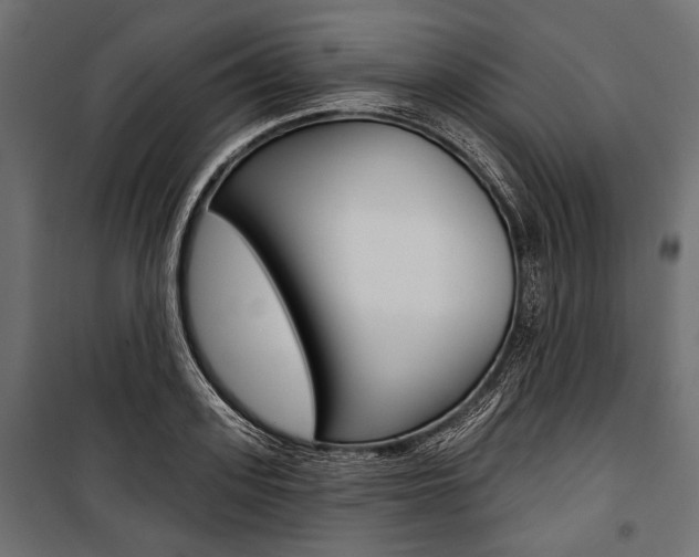 X0000100920939200806241110