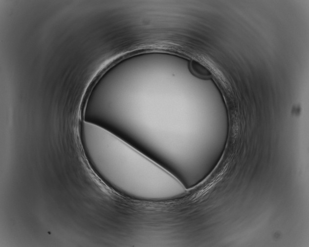 X0000100920940200806241110
