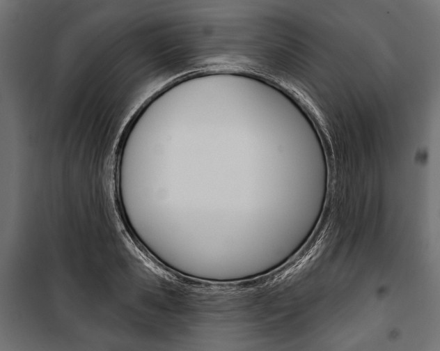 X0000100920941200806241110