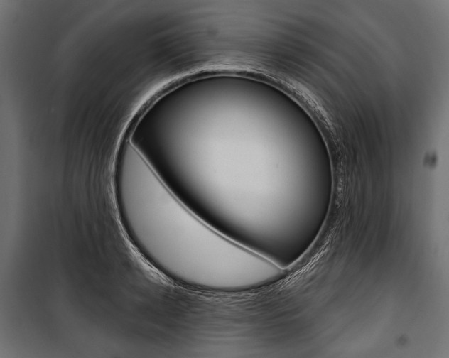 X0000100920942200806241110