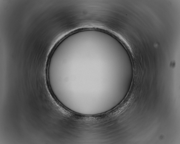 X0000100920943200806241110