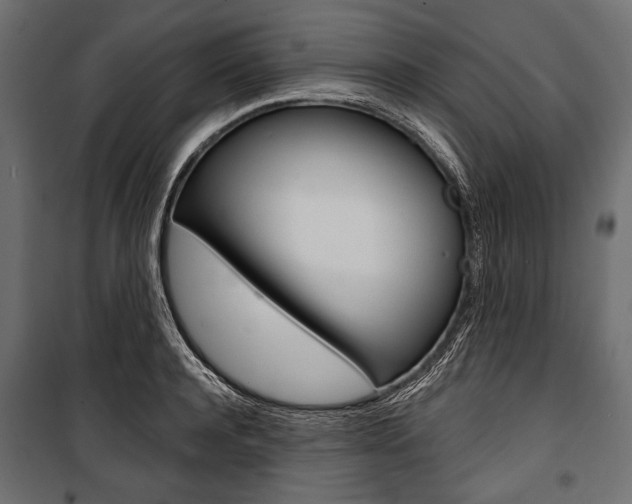 X0000100920944200806241110