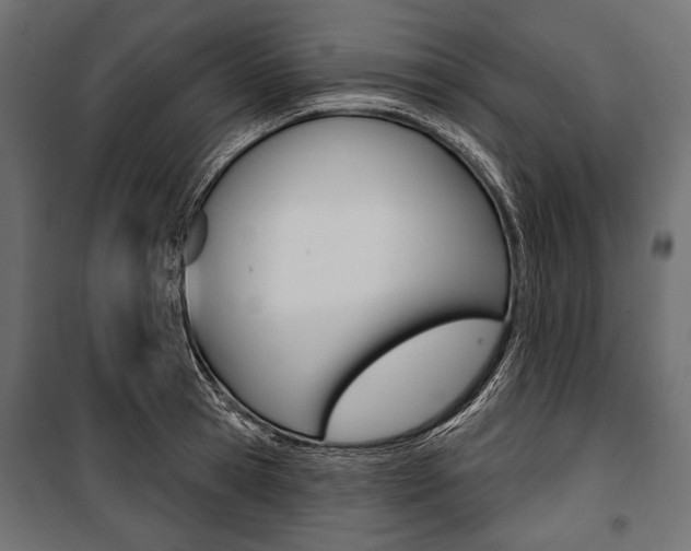 X0000100920945200806241110
