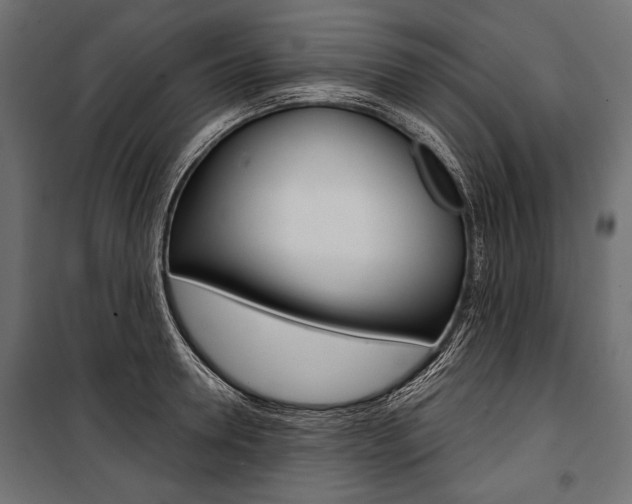 X0000100920946200806241110