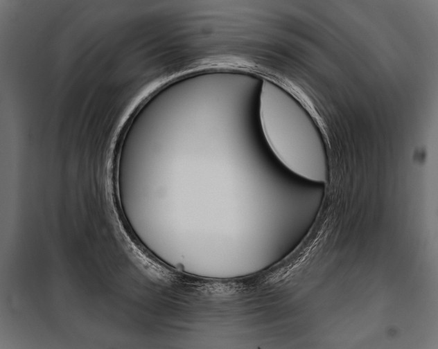 X0000100920947200806241110