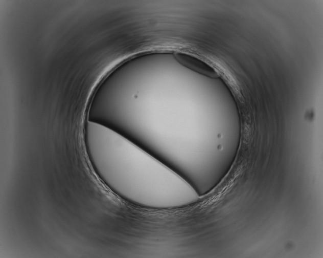 X0000100920948200806241110