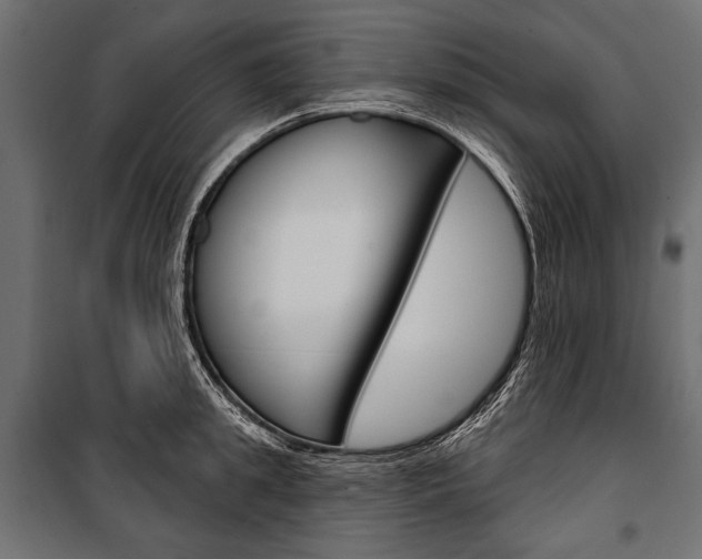 X0000100920949200806241110