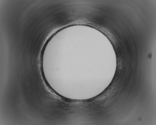 X0000100920950200806241110