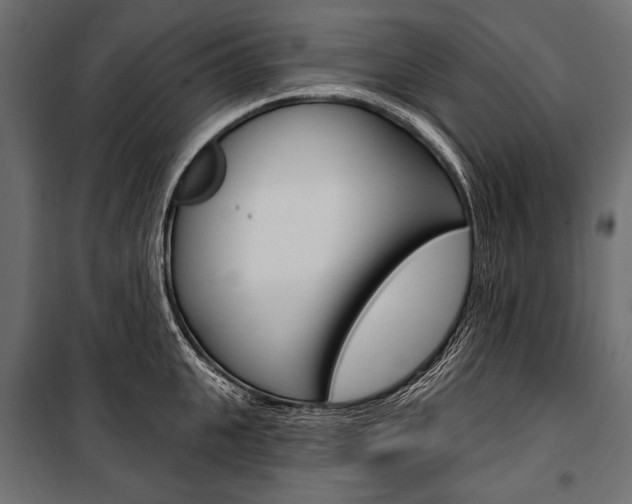 X0000100920951200806241110