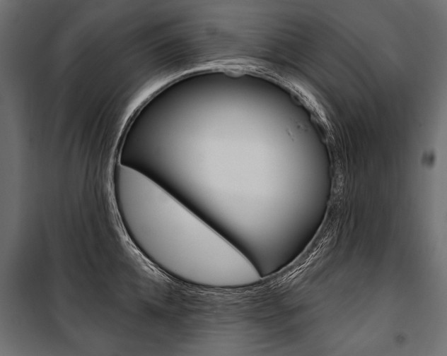 X0000100920952200806241110