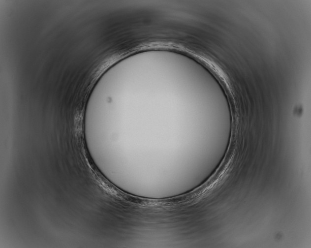 X0000100920953200806241110