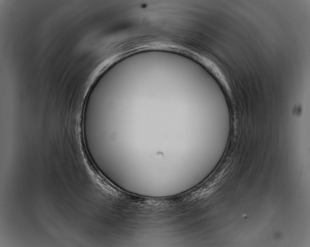 X0000100920954200806241110