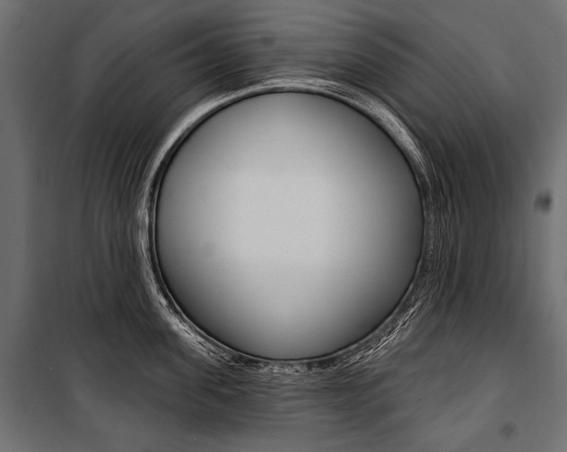 X0000100920955200806241110