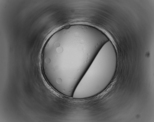 X0000100920957200806241110