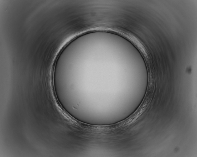 X0000100920958200806241110