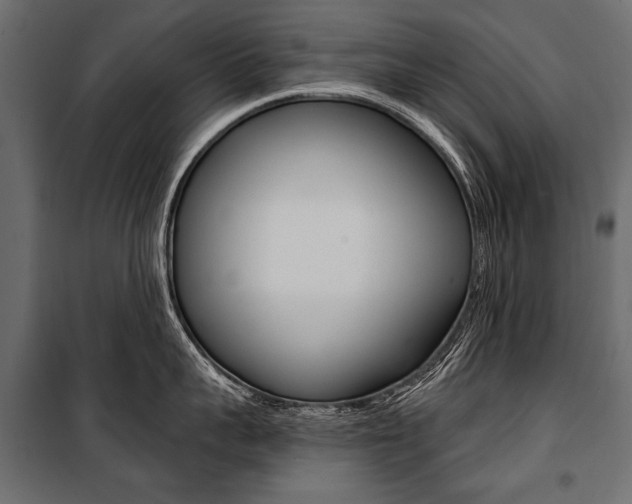 X0000100920959200806241110